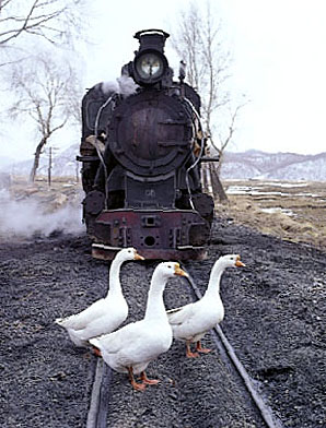 ЦͼƬ