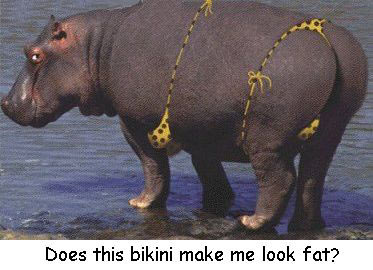 ЦͼƬ