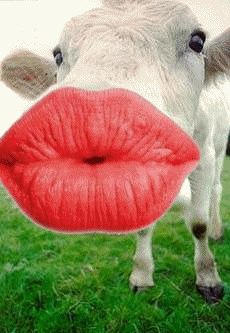 ЦͼƬ